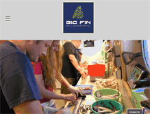 Tablet Screenshot of bigfinscientific.com